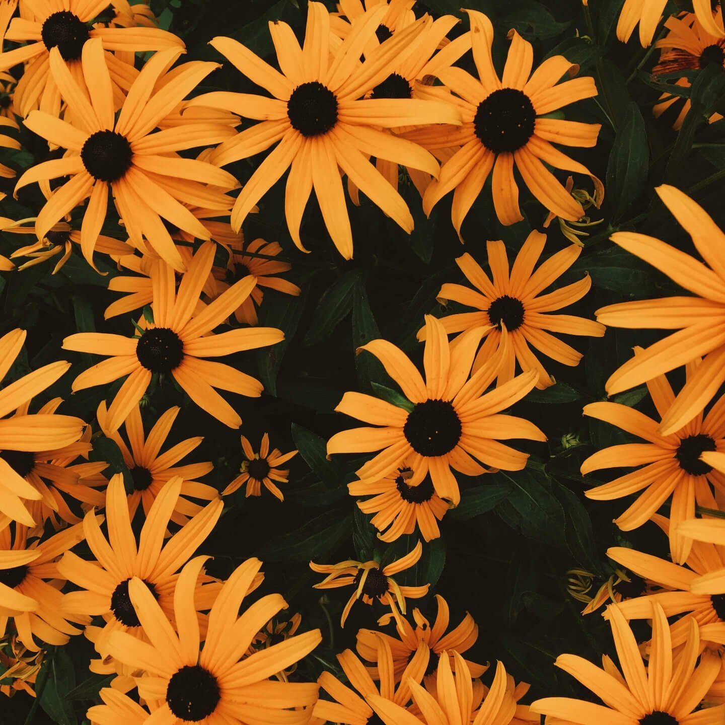 kasia-wanner-Pi7R19E3_QQ-unsplash